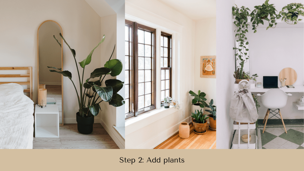 Photo of three different rooms with plants. Step 2 to make your home more cozy on a budget.