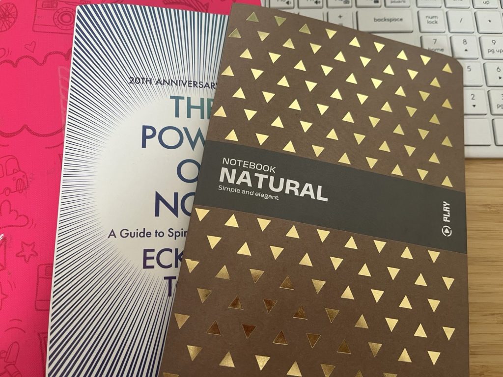 The photo of my reading journal in brown color and the book The Power of Now