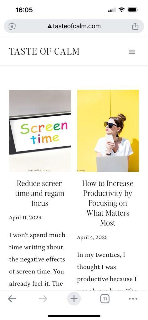 Screenshot of the blog homepage with posts