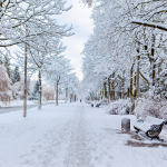 Photo of the park in winter representing the new year