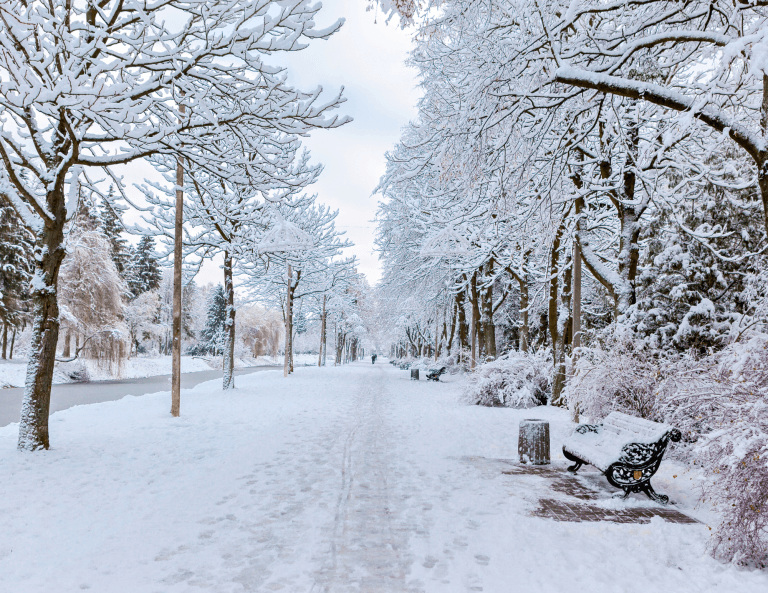 Photo of the park in winter representing the new year