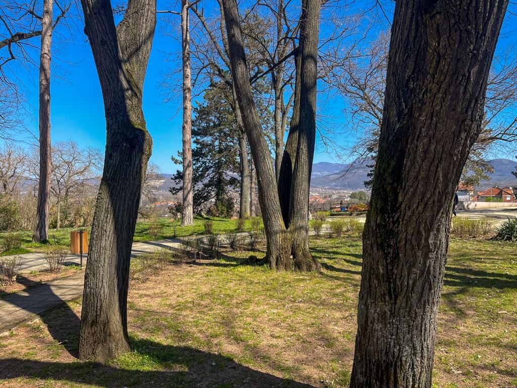 Photo of nature, walking throug the park. THis is an idea of what to do instead of checking your phone