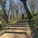 Photo of a man walking through woods. Ideas for what to do instead of checking your phone.