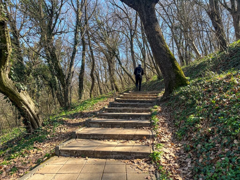 Photo of a man walking through woods. Ideas for what to do instead of checking your phone.