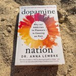 Photo of the book Dopamine Nation by Anna Lembke